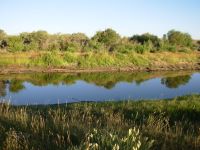 Morning at the Oasis